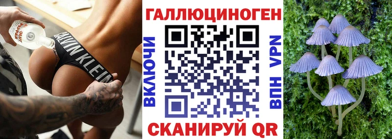 площадка состав  сколько стоит  Саров  Галлюциногенные грибы Cubensis 