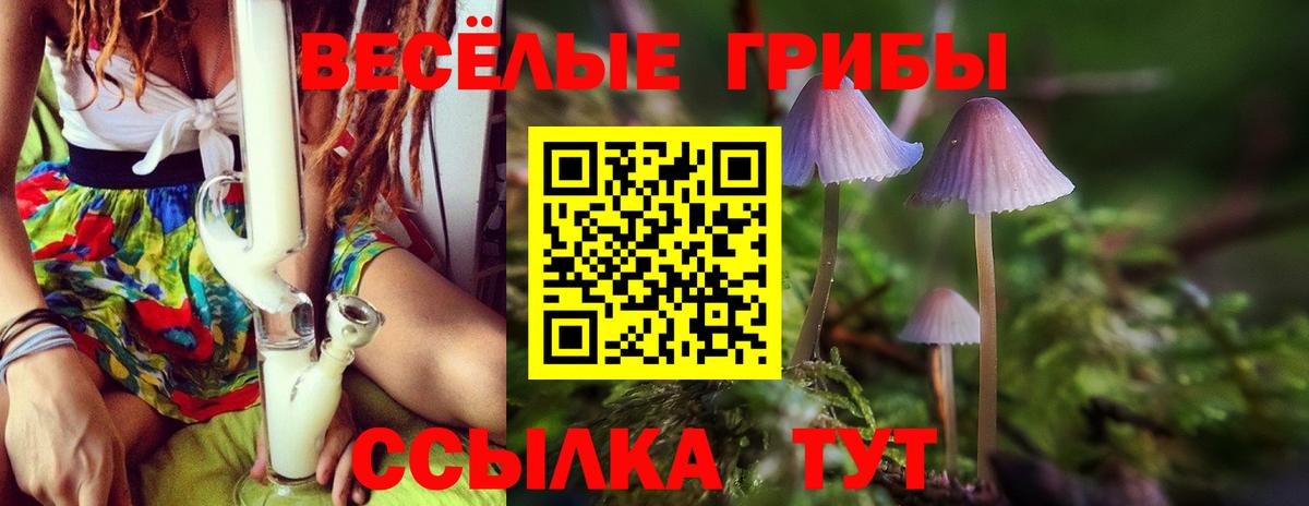 Псилоцибиновые грибы Psilocybine cubensis  Вход с VPN  Саров 